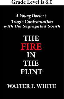 Book Cover with Text the Fire in the Flint