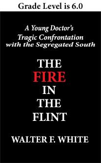 Book Cover with Text the Fire in the Flint